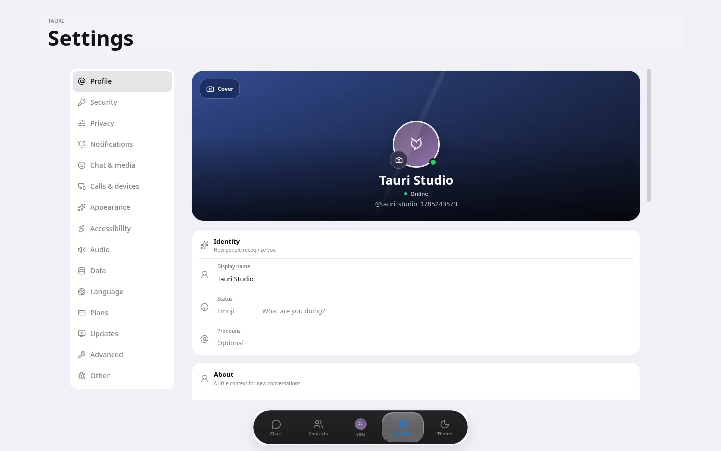 Tauri settings workspace